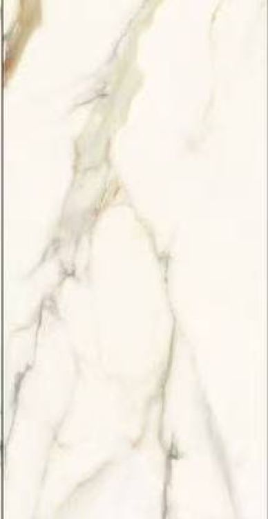 Time Dorado Polished 12 x 24